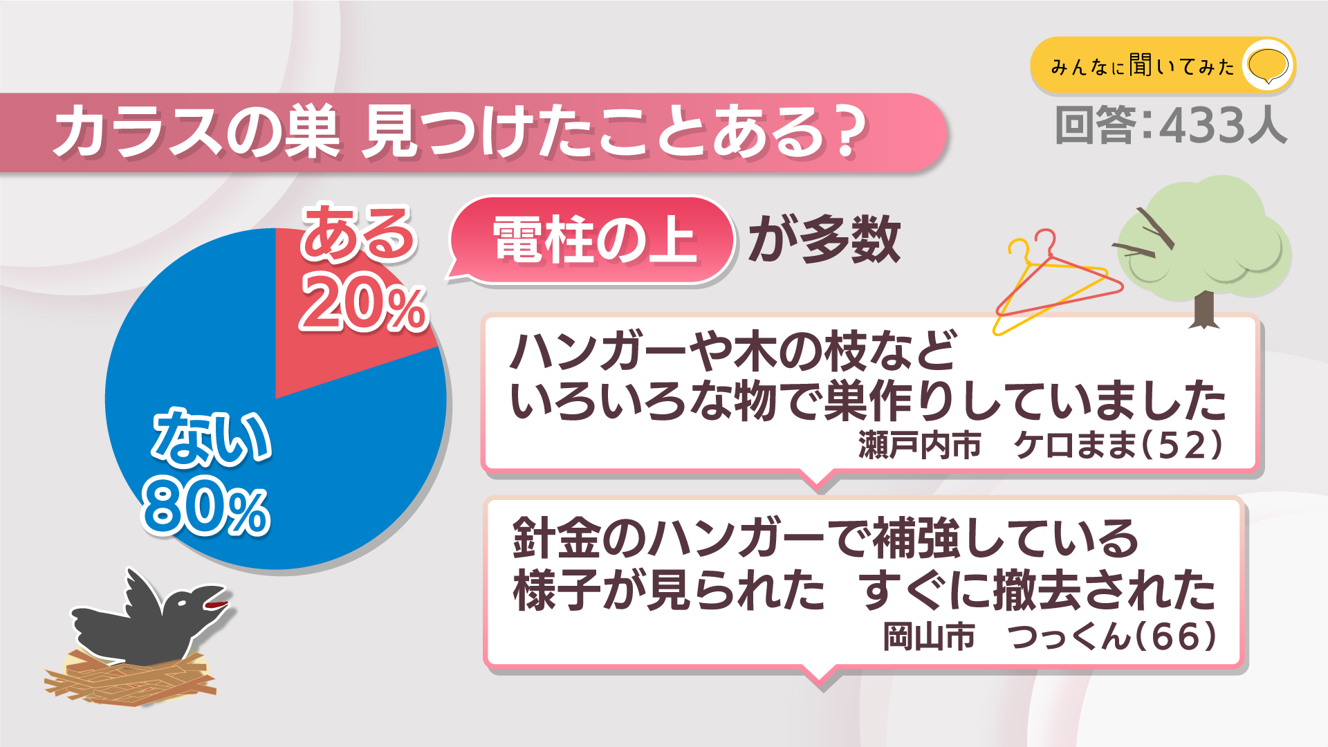 カラスの巣 見つけたことある？【みんなに聞いてみた】