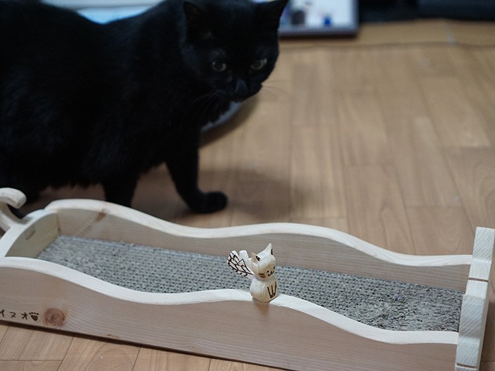 時々思い出したように研いで、猫の天使をじーっ。「曲線がいいね」（まるたさんは作品の売り上げを保護猫団体に寄附してるそうです）