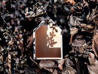 再建築不可物件を売却するには 市場性から対処法まで