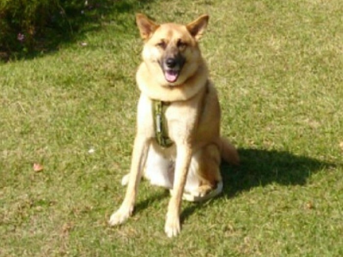 コスモス畑に行ってパシャ！