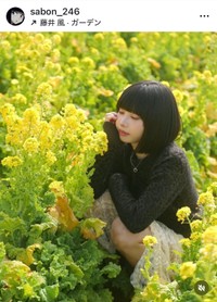 この日は菜の花畑で撮影。