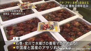 ホヤとアサリの入荷が本格化　仙台市中央卸売市場