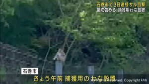 宮城・石巻市の中心部で３日連続でサルの目撃情報　捕獲用わなを設置