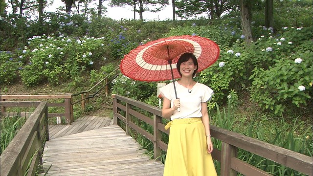 まんのう公園でアジサイが見頃　無料の和傘レンタルで気分上々　香川
