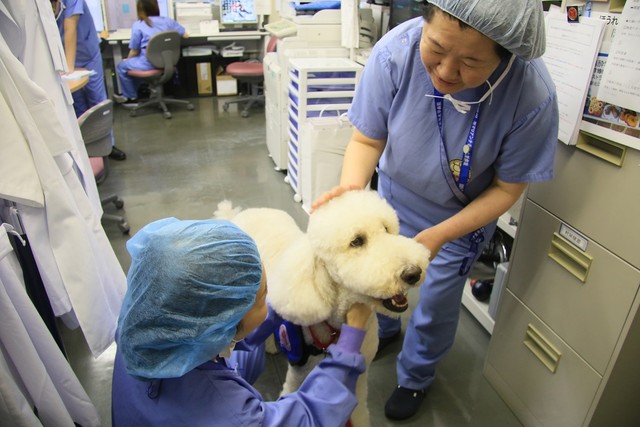 大好きな麻酔科の先生と一緒に（提供写真）