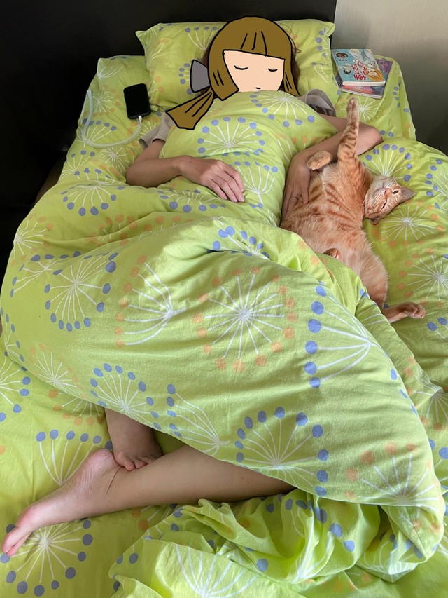 どんな寝相になっても、奥さまにぴったり寄り添って眠る猫の姿がXで話題に（Kyoheiさん提供）