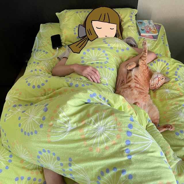 どんな寝相になっても、奥さまにぴったり寄り添って眠る猫の姿がXで話題に（Kyoheiさん提供）