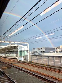 車窓から見えた大きな虹（画像提供：ぷぎさん）