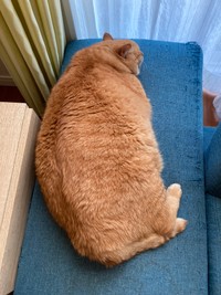 普段の背中はこちら！わがままなボディなんです・・・（提供写真）