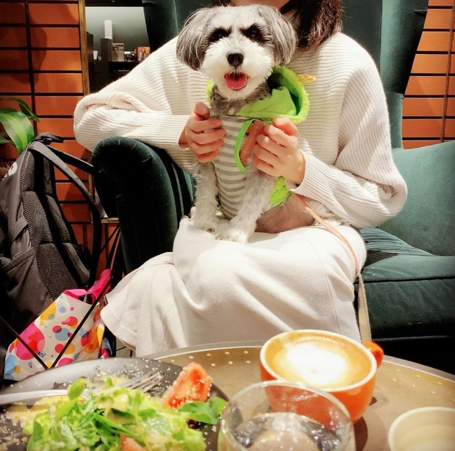 ドックカフェでのわらびちゃんとのデート