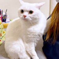 パパのおならの音を聞いて振り返るしらたまくん（画像提供：月としらたまさん）