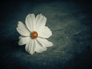 大切に想うからこそ断ち切る想い。元恋人への送信不可になったメールで腑に落ちた