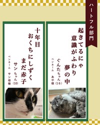 ハートフル部門入選作