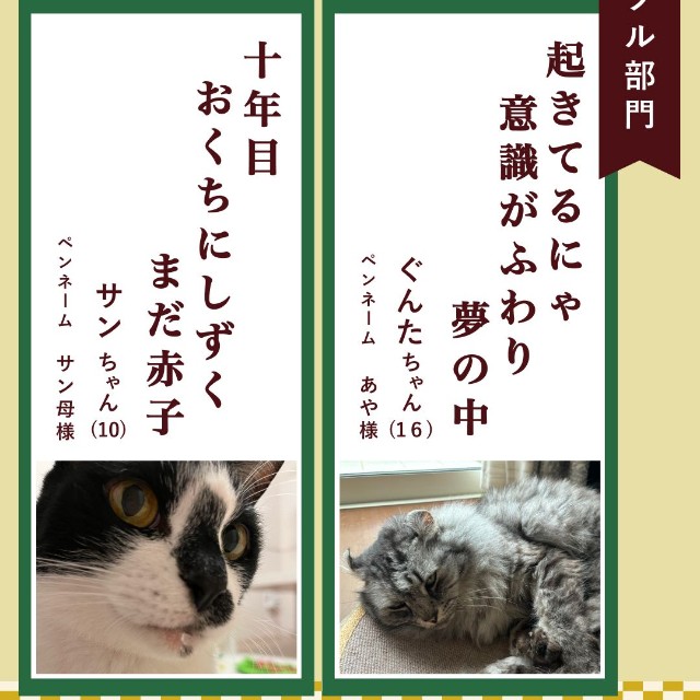 ハートフル部門入選作