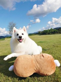 「マンガ肉」のぬいぐるみで遊ぶ楽くん（画像提供：くーさんママさん）