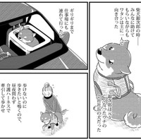 歩けなくなっても散歩の楽しさが忘れられない（真希ナルセさん提供）