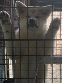 切実な表情（提供：TIM.🫀Glithes.さん）