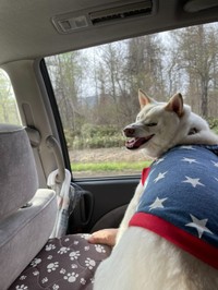 家族旅行の車内で“満面の笑み”を見せたゆき丸くん／ゆきあずさん（@yukiazu09300725）提供