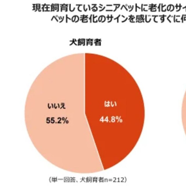 現在飼育しているシニアペットに老化のサインを感じた方にお伺いします。ペットの老化サインを感じてすぐに何か行動に移しましたか？（提供画像）
