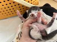 第一目標の達成バンザイ！