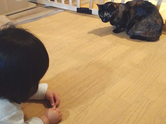 あんず「む？オヤツをくれるのか？」