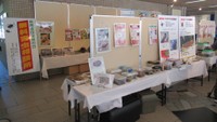 6月4日に「虫の日」イベント　カやダニなど害虫について学ぶ　岡山市役所