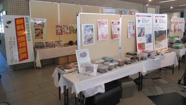 6月4日に「虫の日」イベント　カやダニなど害虫について学ぶ　岡山市役所