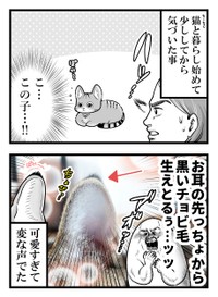 【漫画】『ネコまんがまとめ』3　（も～さんの提供）