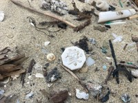 砂浜に落ちていたチャンギの駒。八角形で文字が刻まれている／Dennyさん（@De2_trash_rush）提供