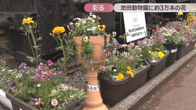 烏城高校の生徒によるフラワーアレンジメント