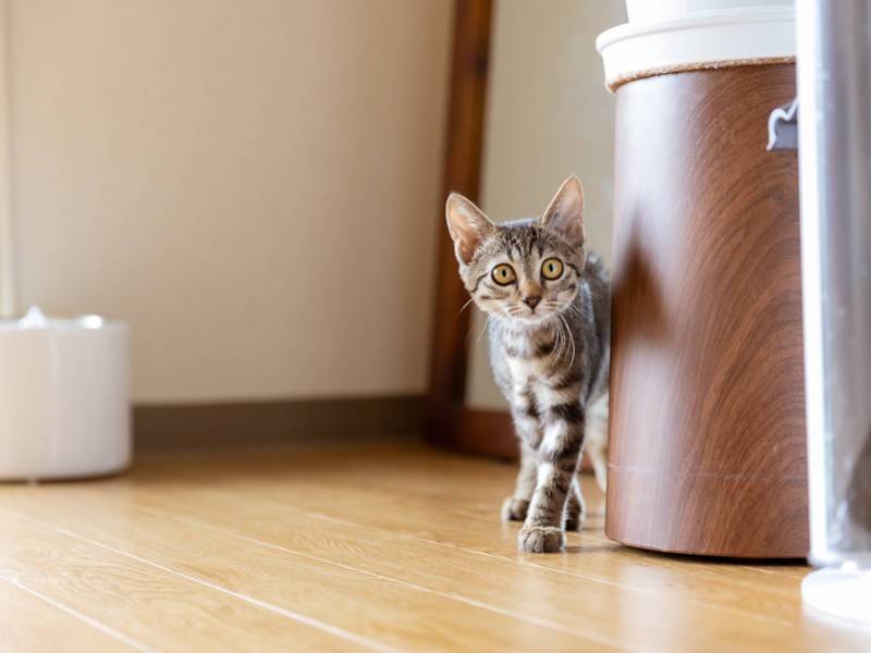 この日、先に慣れたのはもち