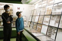 多彩なガやチョウの標本が並ぶ展示会場