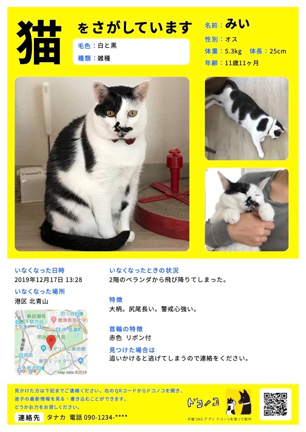 迷子捜索においてチラシは非常に有効だと藤原氏は言う