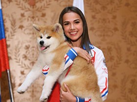 「マサル」で秋田犬バブル　観光客殺到、ぬいぐるみ品切れ