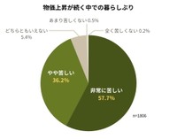 物価上昇が続く中での暮らしぶり（提供画像）