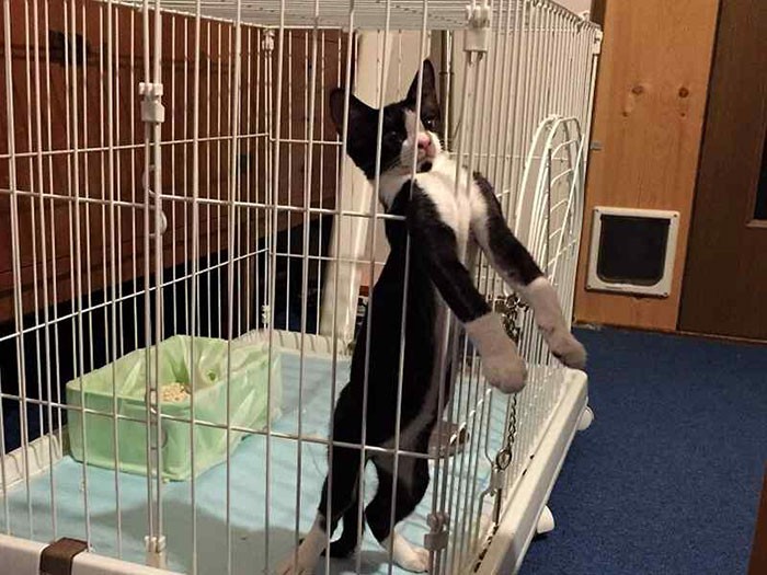 「早く外に出てみんなと遊びたい！」