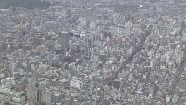 資料