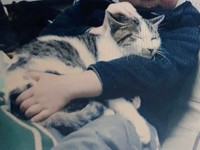 保護当時。息子さんに抱かれて満足そうな表情に