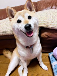 「最強の笑顔」を披露する桃ちゃん（画像提供：2代目マサイノセンシ1026（Ver1.25）さん）