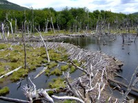 ※画像はイメージです(jamex／stock.adobe.com)