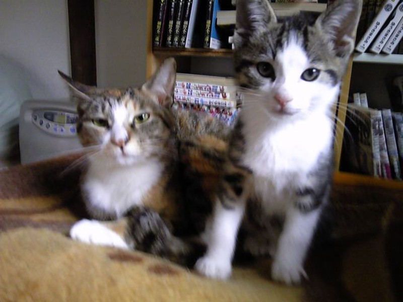 幼いころのエンマと母・サビ。きりっとした目元はお母さん似かも。