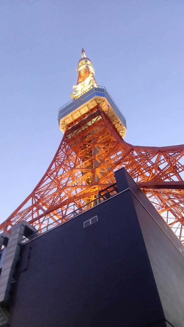 職人さんのおかげで、東京タワーの光は守られている　画像提供：東京タワー