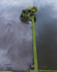 まるで水を張った田園に浮いているかのような春の社／えぬびいさん（@enuenuenubi）提供