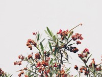 冗談で言った「ジャンケンで名字を決めよう」。彼の顔が物語っていた