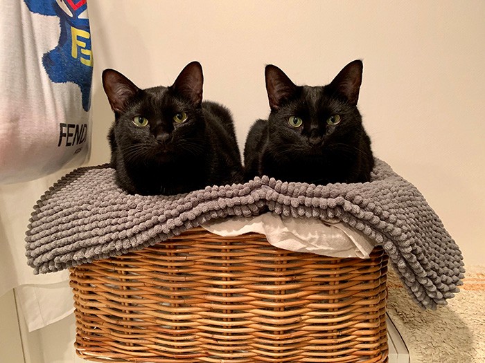 やっぱり顔似てるな〜(笑)