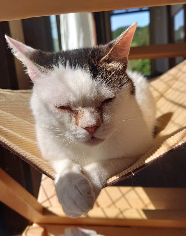 幸せに年を重ねたよ