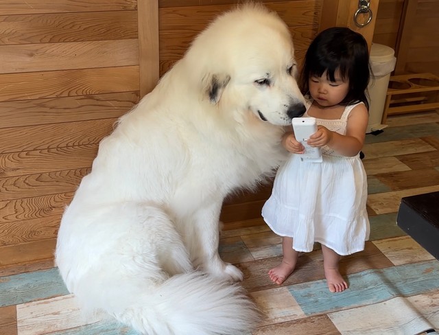 エアコンの温度下げ同盟（提供：山の奥からさん）