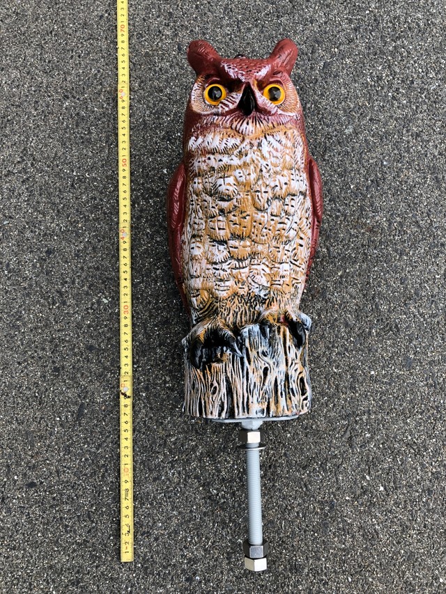 フクロウではなく「ミミズク」だった（画像：関西電力送配電）