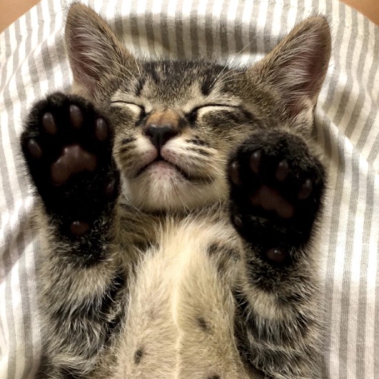 「自分の手の中で成長を感じて、手放せなくなりました」とりーりーさん（りーりーさん提供）