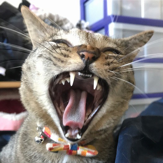 こんな顔もしちゃいます